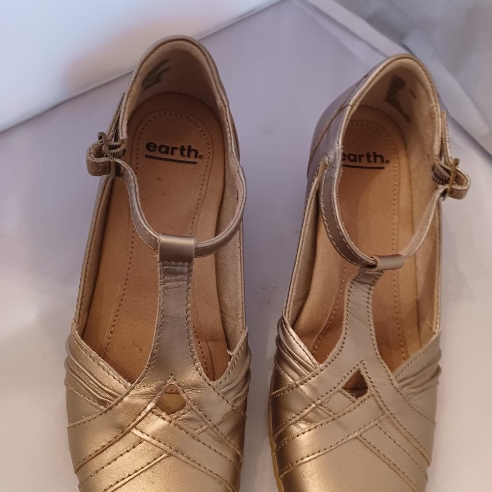Earth Origin Pump